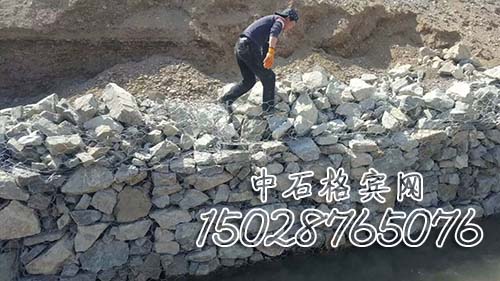 86gebinwang013.jpg