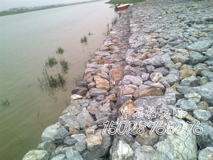雙隔板雷諾護(hù)墊