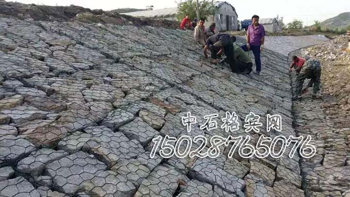 鍍高爾凡雷諾護墊